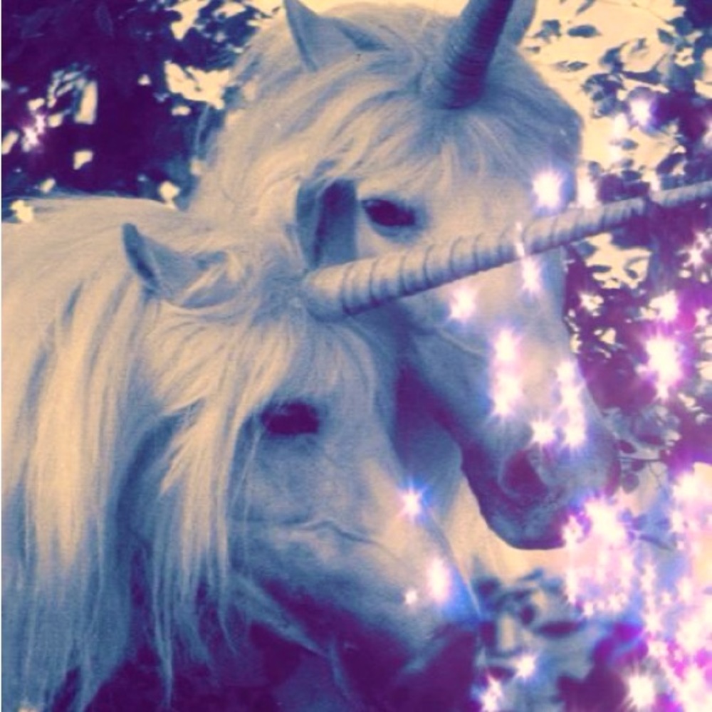 this place is pawnted 🐾🐈‍⬛